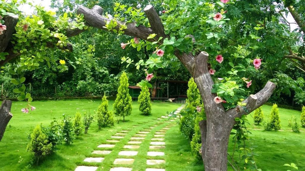 Sparsh Resort & Chalet Kalamb  Экстерьер фото